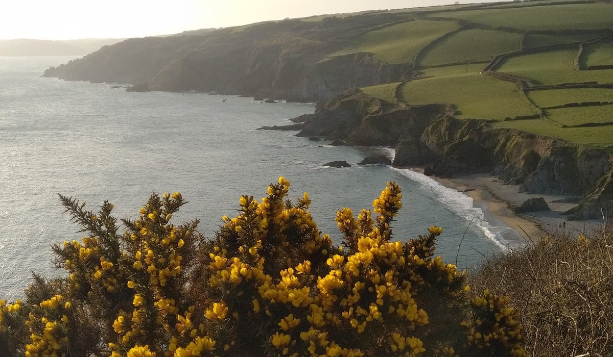 How to Spot and Escape a Rip Current
